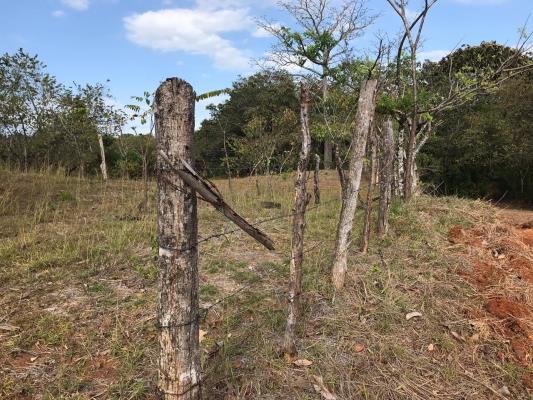 , Terreno en venta en Sona | P1731961