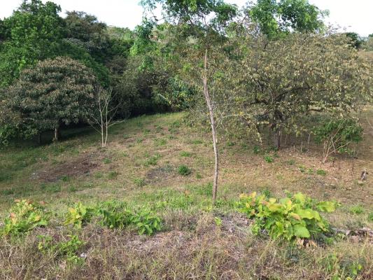 , Terreno en venta en Sona | P1731961