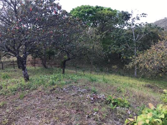 , Terreno en venta en Sona | P1731961