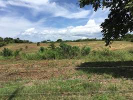 San Carlos San Carlos