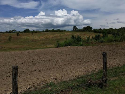 , Terreno en alquiler en San Carlos | P1736945