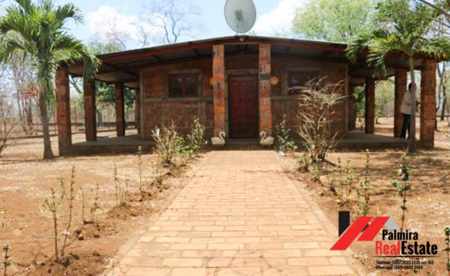 , Área Metropolitana