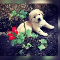 @*Model.facility.Name - Gogetit*@