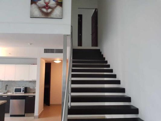 , Área Metropolitana