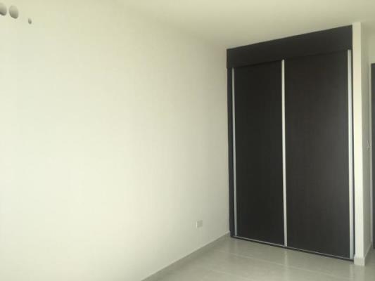 , Área Metropolitana