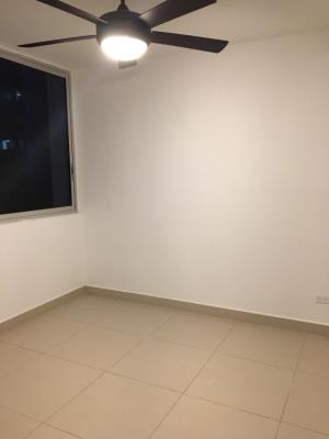 El Carmen, Área Metropolitana