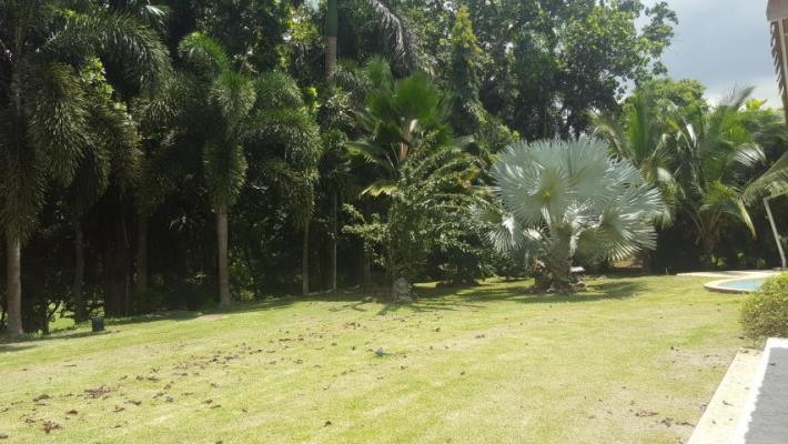 , Casa en alquiler en Panamá Pacífico | P1763545