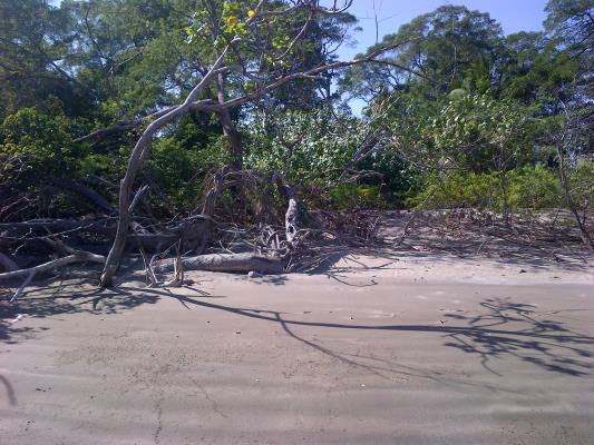 , Terreno en venta en Rio Grande | P1769026