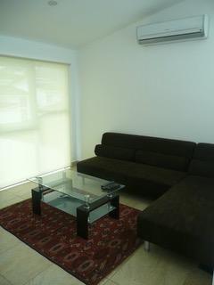 , Amelia Denis De Icaza