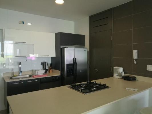 , Área Metropolitana