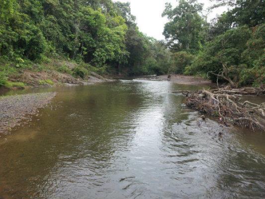 , La Chorrera