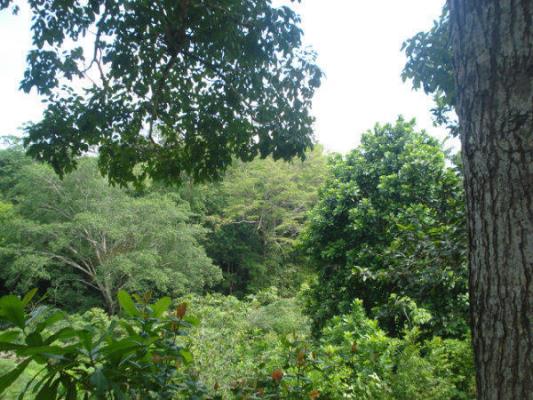 , La Chorrera