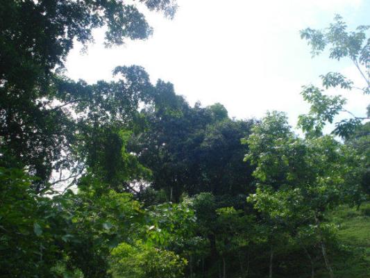 , La Chorrera