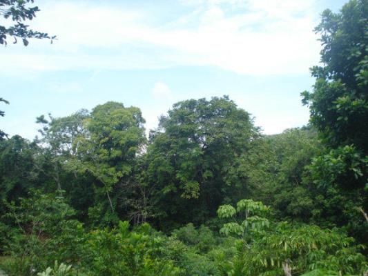 , La Chorrera