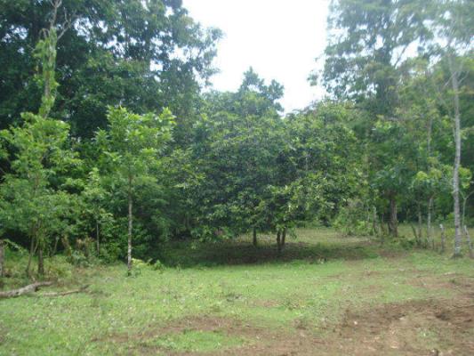 , La Chorrera