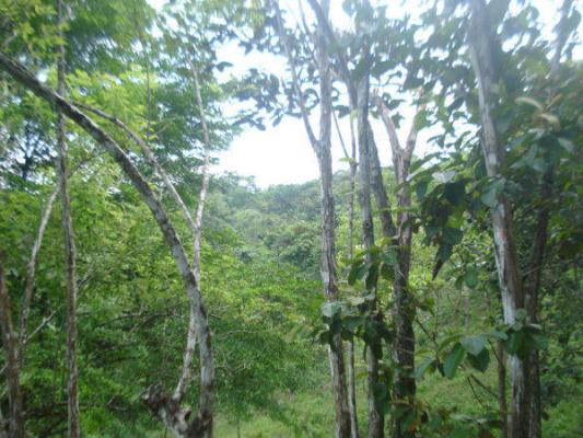 , terreno