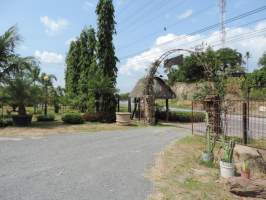 San Carlos San Carlos