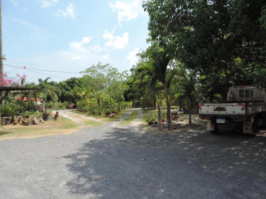 , Terreno en venta en San Carlos | P1794527