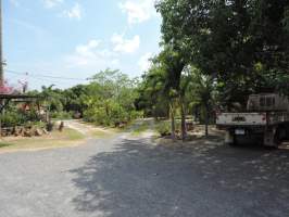 San Carlos San Carlos