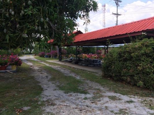 , Terreno en venta en San Carlos | P1794527