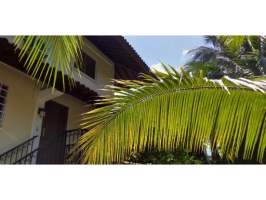 Ancon Panama