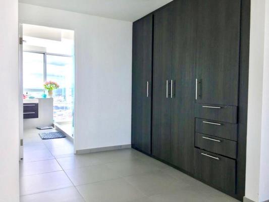 , Área Metropolitana