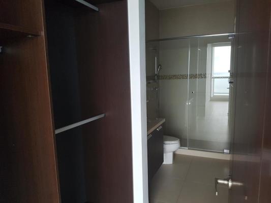 , Área Metropolitana