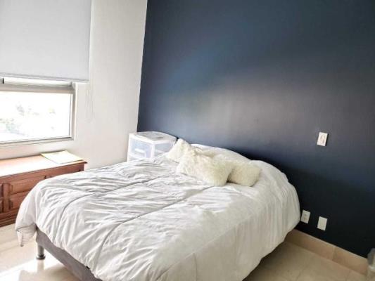 , Área Metropolitana