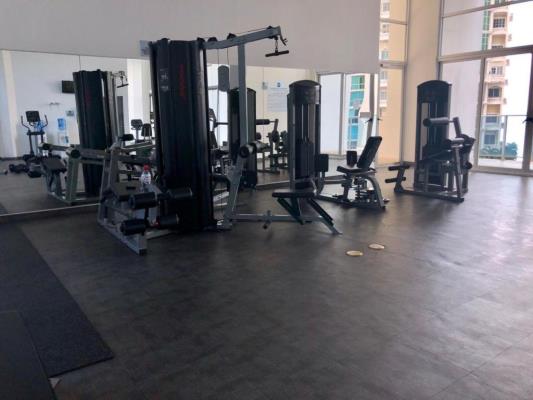 , Área Metropolitana