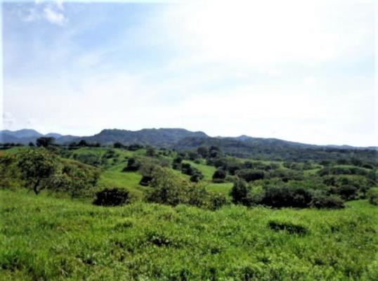 , Terreno en venta en Chiriquí Grande | P1852403