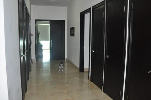 Venetian Tower, Punta Pacifica