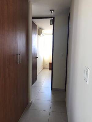 Terramar, San Francisco