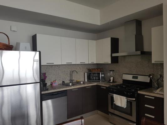 , Área Metropolitana