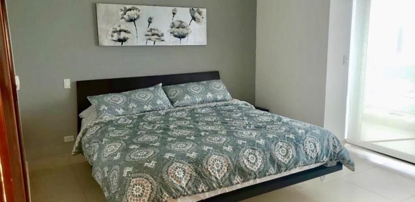 , Área Metropolitana