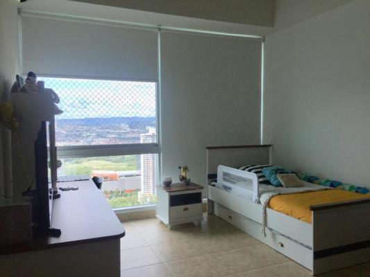 , Área Metropolitana