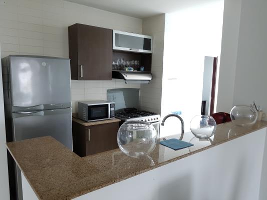 Pacific Sun, Área Metropolitana