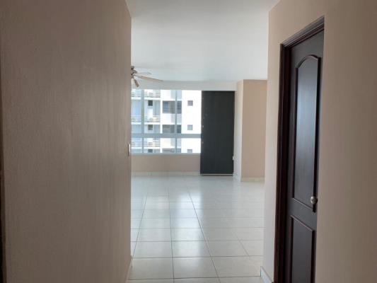 , Área Metropolitana