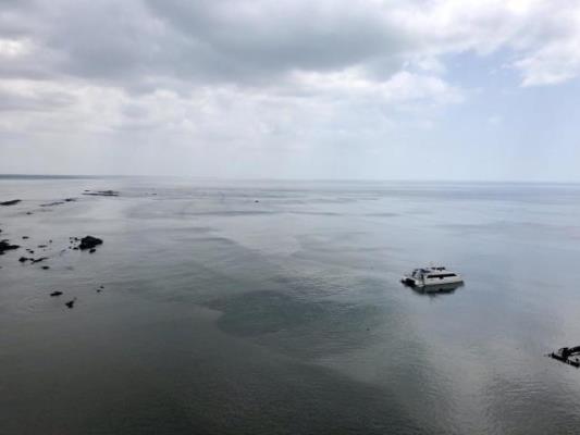 Trump Tower, Área Metropolitana