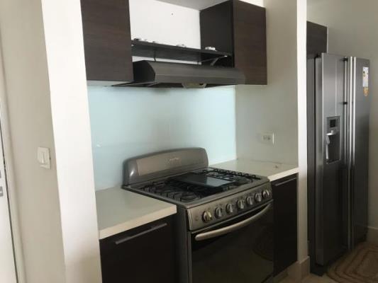 , Apartamento en alquiler en Avenida Balboa | P1918749
