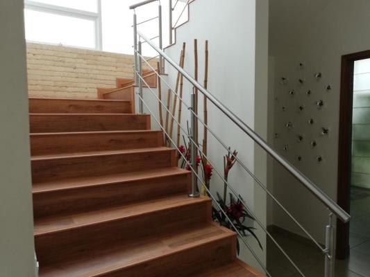 , Amelia Denis De Icaza