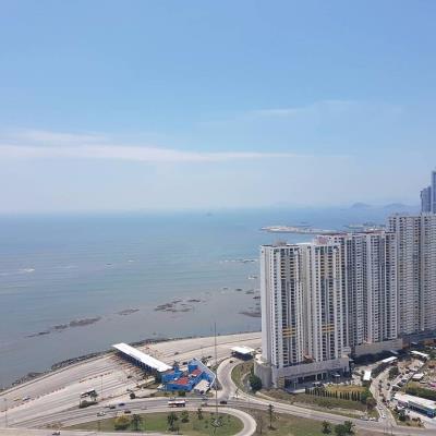 Serenity at the bay, San Francisco