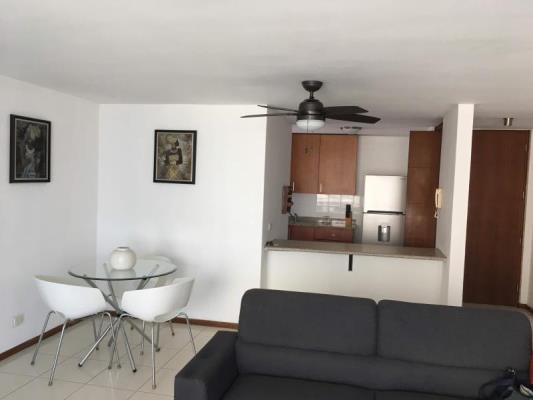 , Área Metropolitana