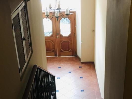 , Área Metropolitana