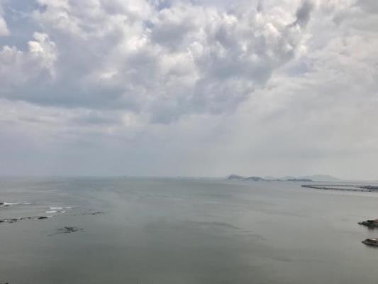 , Área Metropolitana