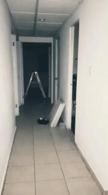 , Casa en alquiler en Vacamonte | P1966265