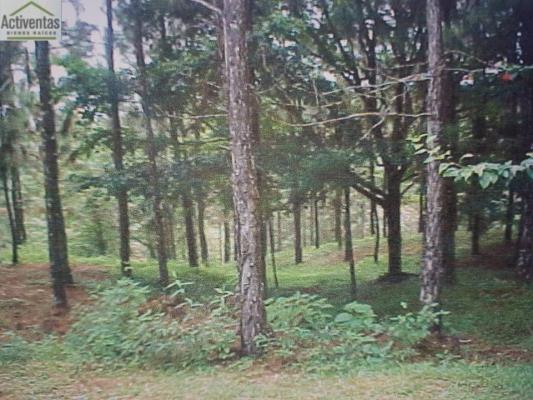 , Terreno en venta en 24 de diciembre | P1968267