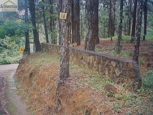 , Terreno en venta en 24 de diciembre | P1968267