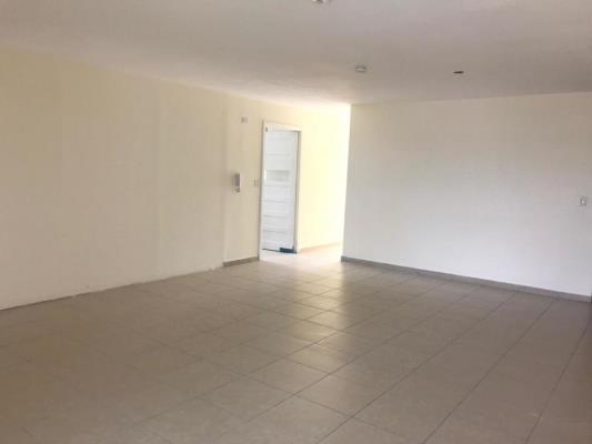 , Área Metropolitana