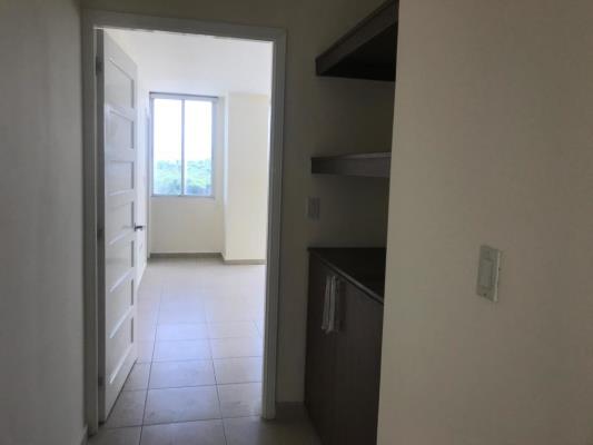 , Área Metropolitana