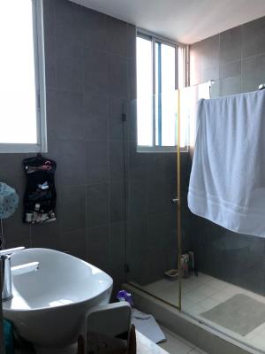 Harmony, San Francisco